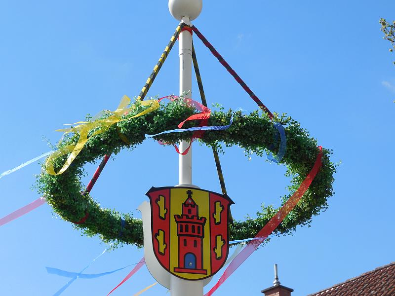 Maibaum Burgholzhausen 2018