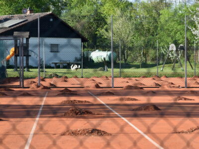 Saisoneröffnung beim Tennisclub Burgholzhausen