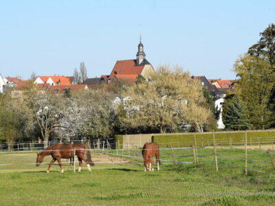 Ein Tanz in den Mai – Die habbe an Dubbe