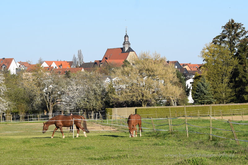 Burgholzhausen, Stadtteil im Frühling