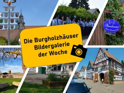 Dauerbeitrag: Burgholzhäuser Bildergalerie der Woche – mit ständig wechselnden Fotos