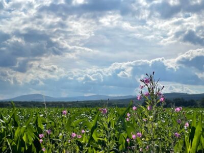 Achtung! Dringender Hinweis