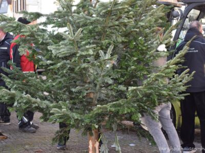 Abbau Weihnachtsbaum