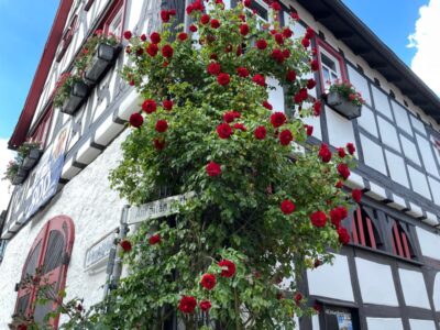 Rathaus-Café fällt aus