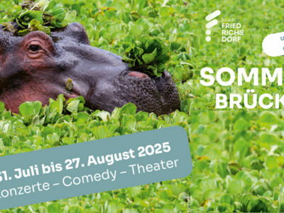Friedrichsdorfer Sommerbrücke 2025 (31.7.-27.8.25)