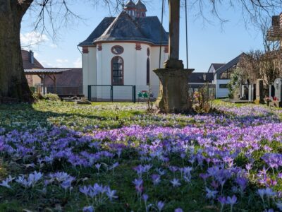 Frühstück, Abendessen und FrühShoppen in Burgholzhausen