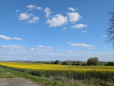 Frühjahrswanderung nach Harheim mit dem Förderverein Hl. Kreuz Burgholzhausen