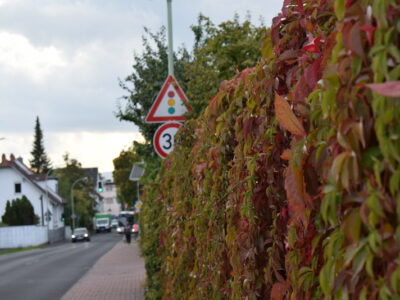 Einbruch in Wohnhaus