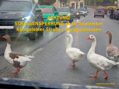 Sperrung Königsteiner Straße wegen Straßenreparaturarbeiten