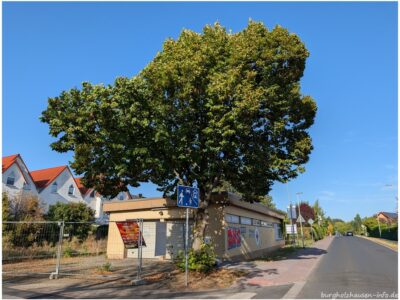 Nachgefragt: Was ist eigentlich mit der Bäckerei in Burgholzhausen?